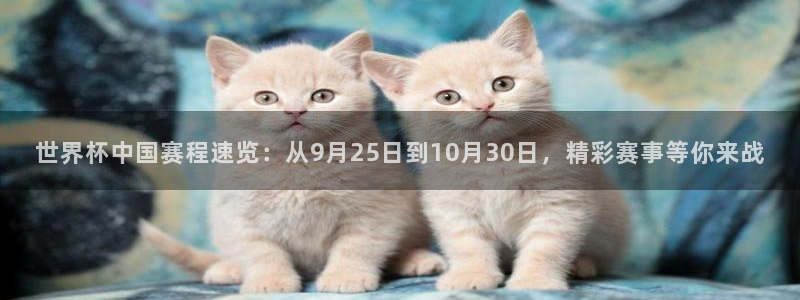 世界杯决赛预测:世界杯中国赛程速览:从9月25日到10月30日,精彩赛事等你来战
