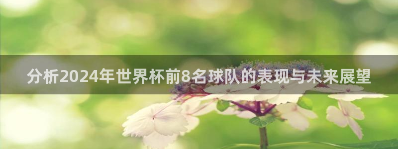 女足世界杯直播:分析2024年世界杯前8名球队的表现与未来展望