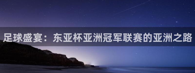 世界杯直播在线观看入口:足球盛宴:东亚杯亚洲冠军联赛的亚洲之路