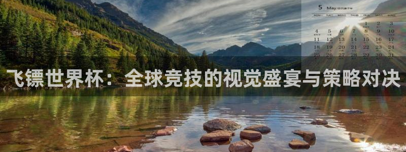 足球世预赛:飞镖世界杯:全球竞技的视觉盛宴与策略对决