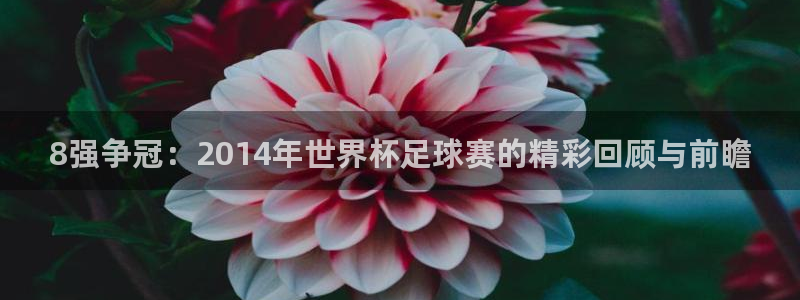 2026 世界杯:8强争冠:2014年世界杯足球赛的精彩回顾与前瞻