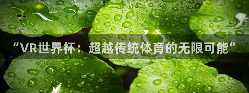 足球杯:“VR世界杯:超越传统体育的无限可能”